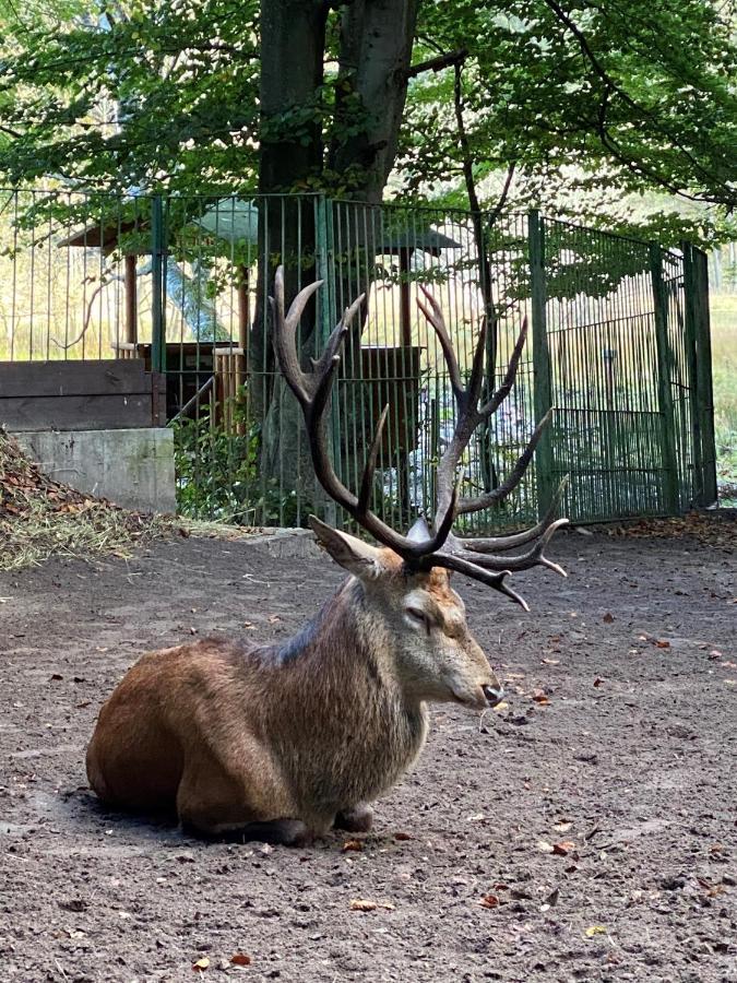 Ferienwohung Marina Lägenhet Grosswoltersdorf Exteriör bild